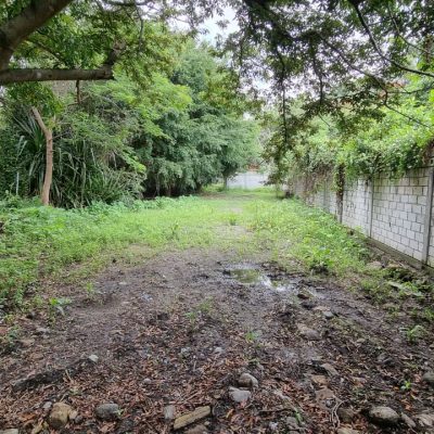 SE VENDE TERRENO PLANO EN PALMIRA